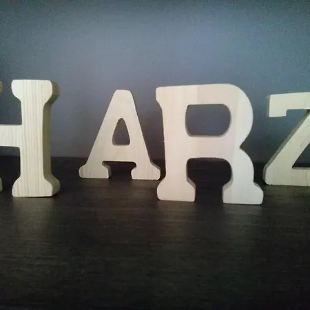 Ferienwohnung Harzluchs Hohegeiß Zimmer foto