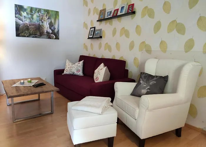 Ferienwohnung Harzluchs Mit Balkon, Netflix Und Sauna Im Haus