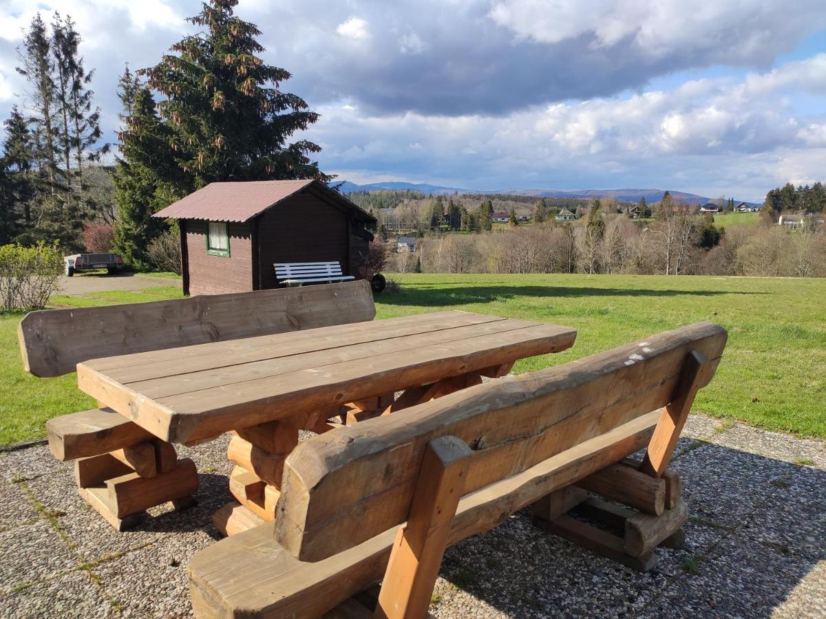 Ferienwohnung Harzluchs Mit Balkon, Netflix Und Sauna Im Haus Apartment Hohegeiss