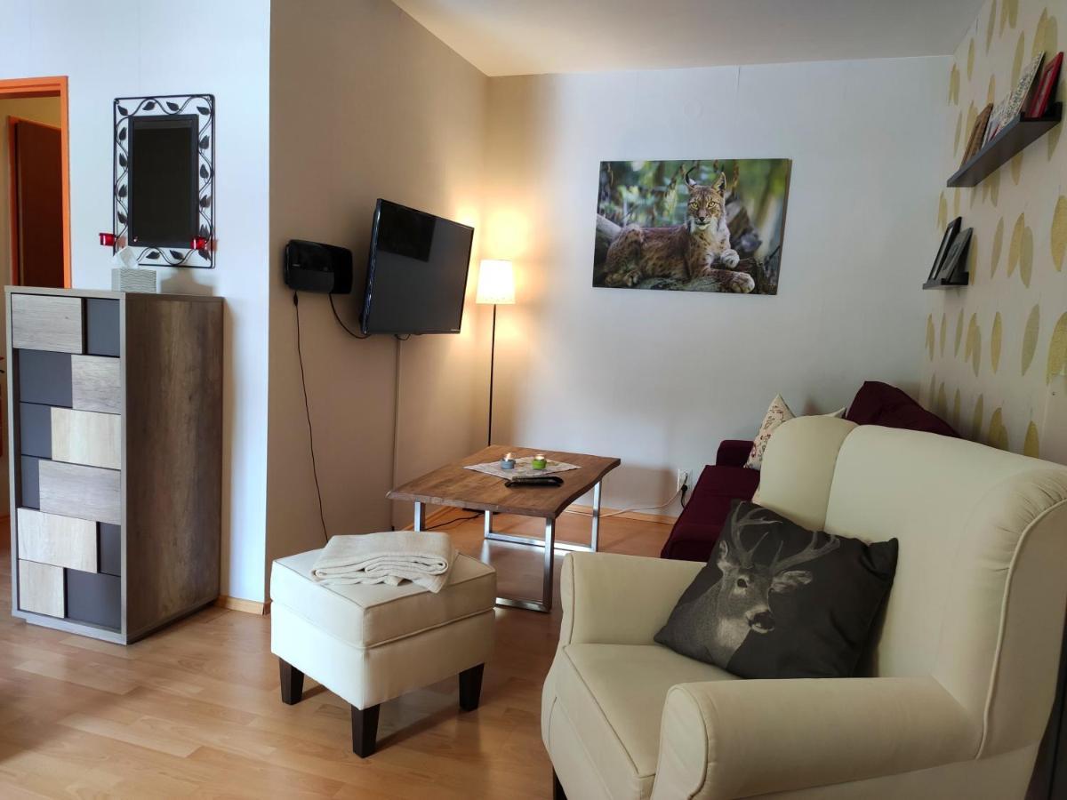 Ferienwohnung Harzluchs Mit Balkon, Netflix Und Sauna Im Haus