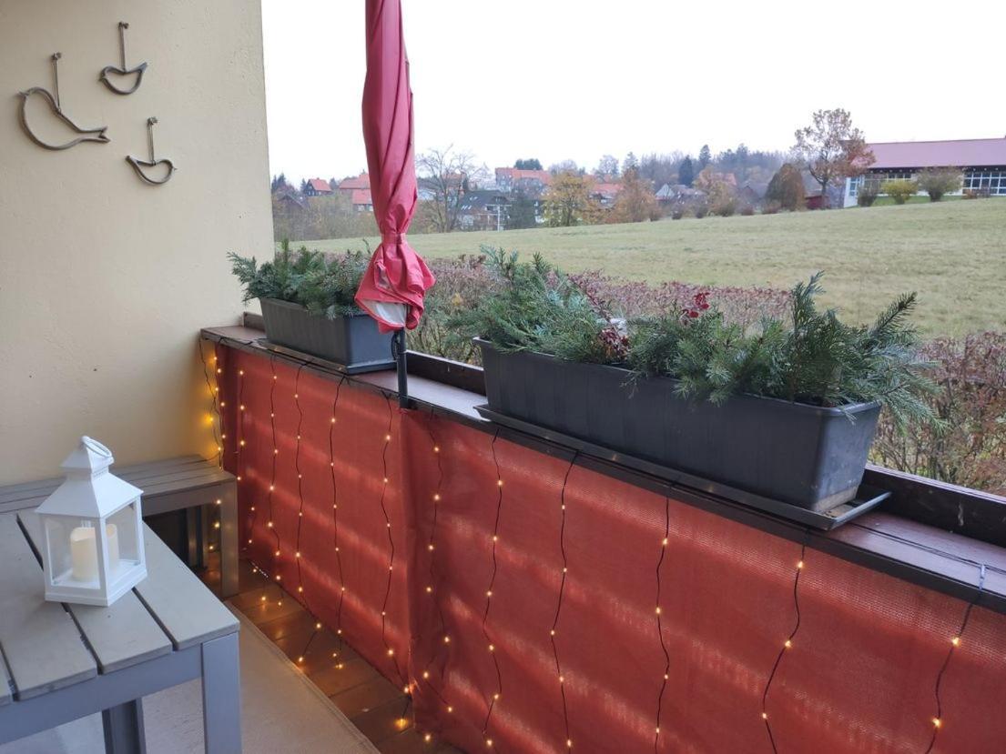 Apartment Ferienwohnung Harzluchs Mit Balkon, Netflix Und Sauna Im Haus *