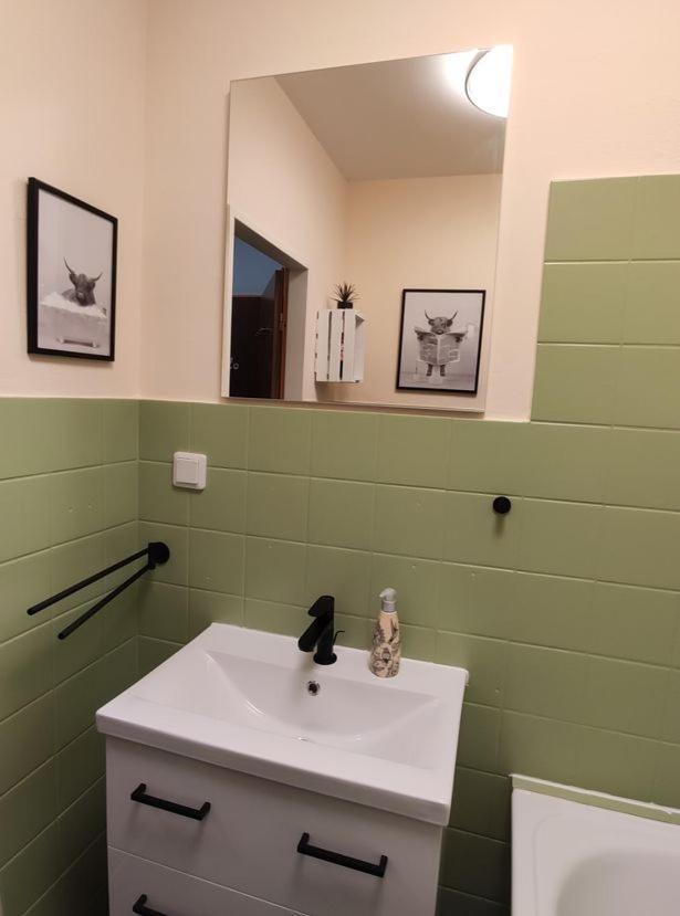 Apartamento Harzluchs Mit Balkon & Sauna Im Haus Hohegeiß