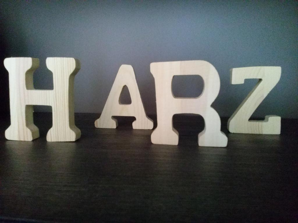 Ferienwohnung Harzluchs Mit Balkon, Netflix Und Sauna Im Haus Apartment *