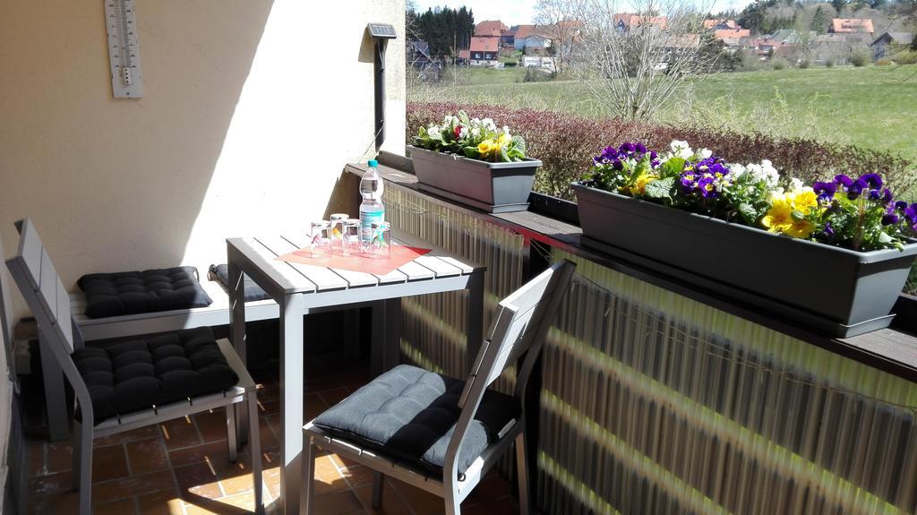 Apartment Ferienwohnung Harzluchs Mit Balkon, Netflix Und Sauna Im Haus