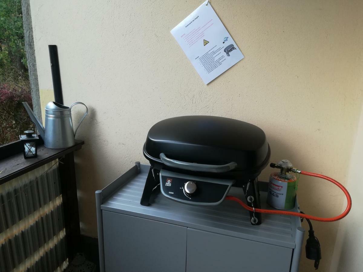 Ferienwohnung Harzluchs Mit Balkon, Netflix Und Sauna Im Haus Apartment Hohegeiss